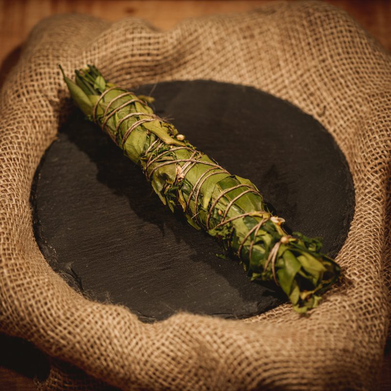 Tocha de Laranjeira