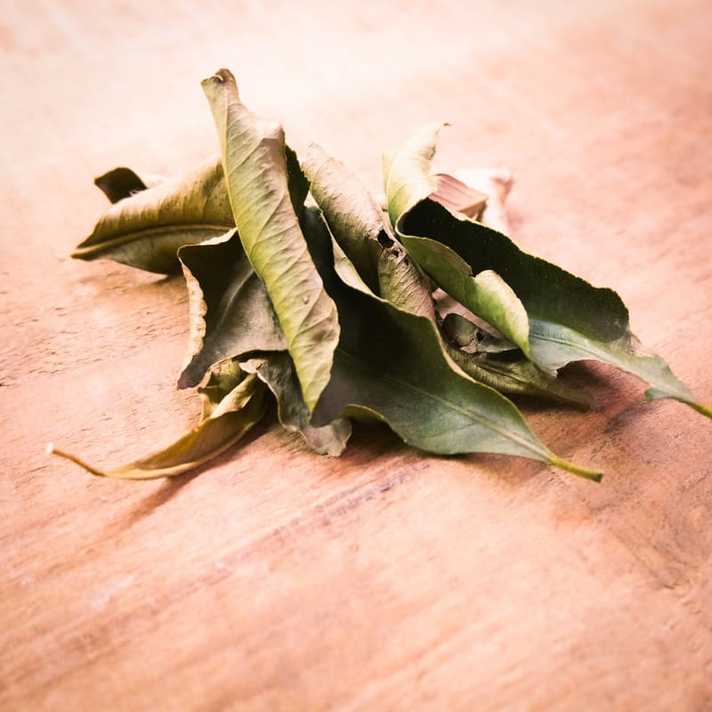 Limoeiro