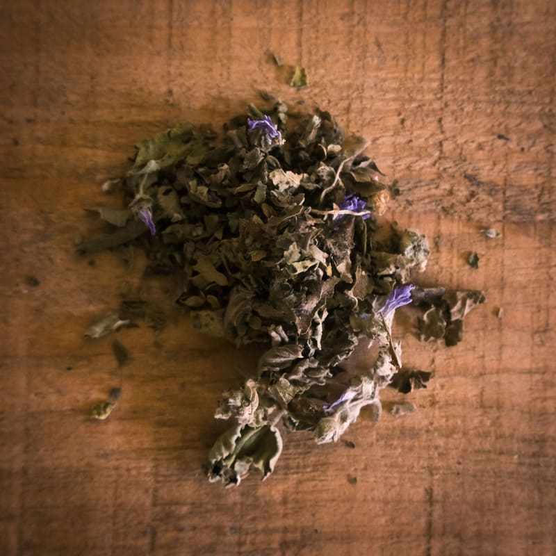 Malva