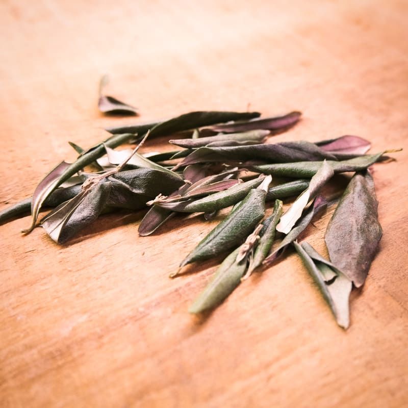 Oliveira