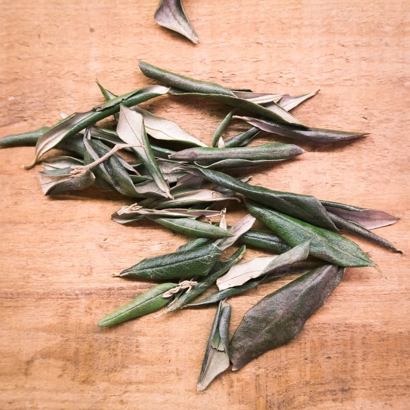 Oliveira