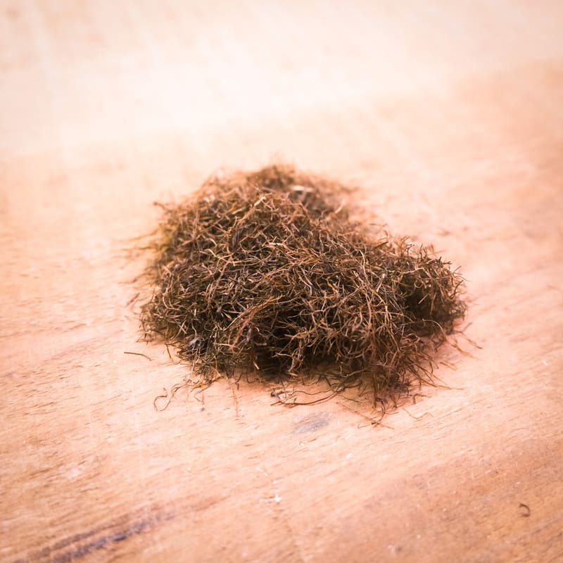Barbas de Milho