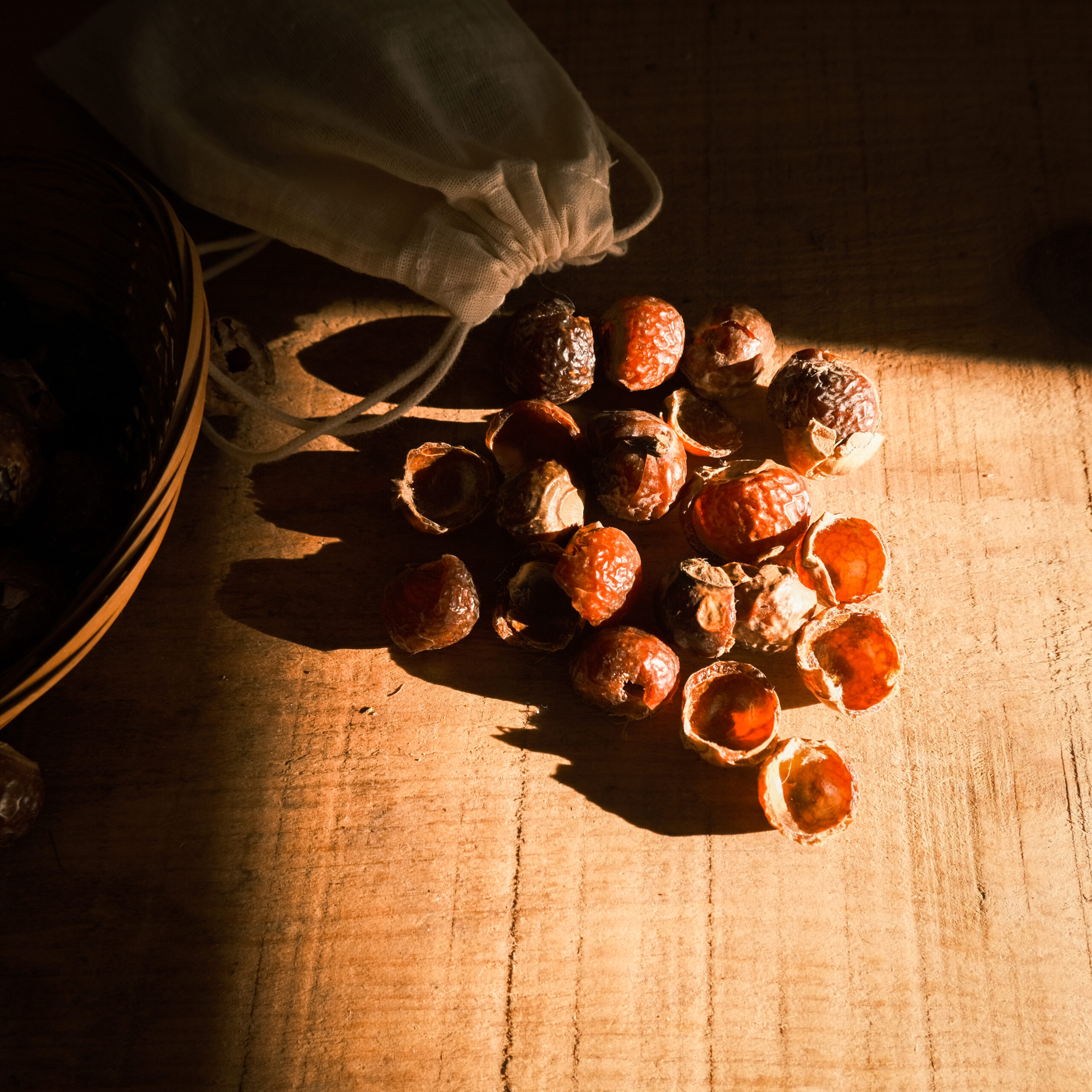 Soap Nuts