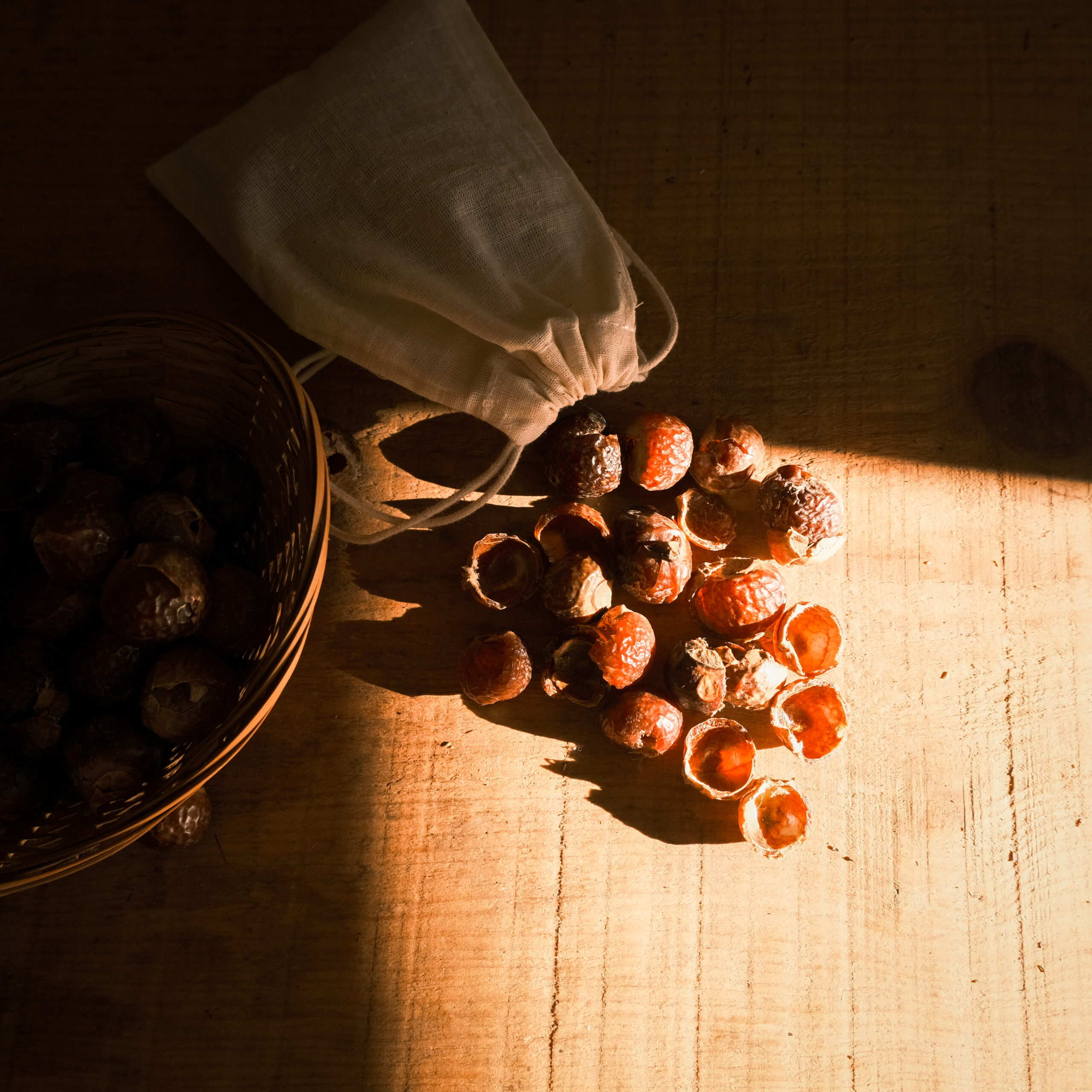 Soap Nuts