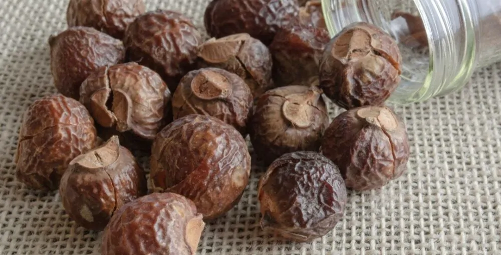 Como Lavar a Roupa com as Soap Nuts