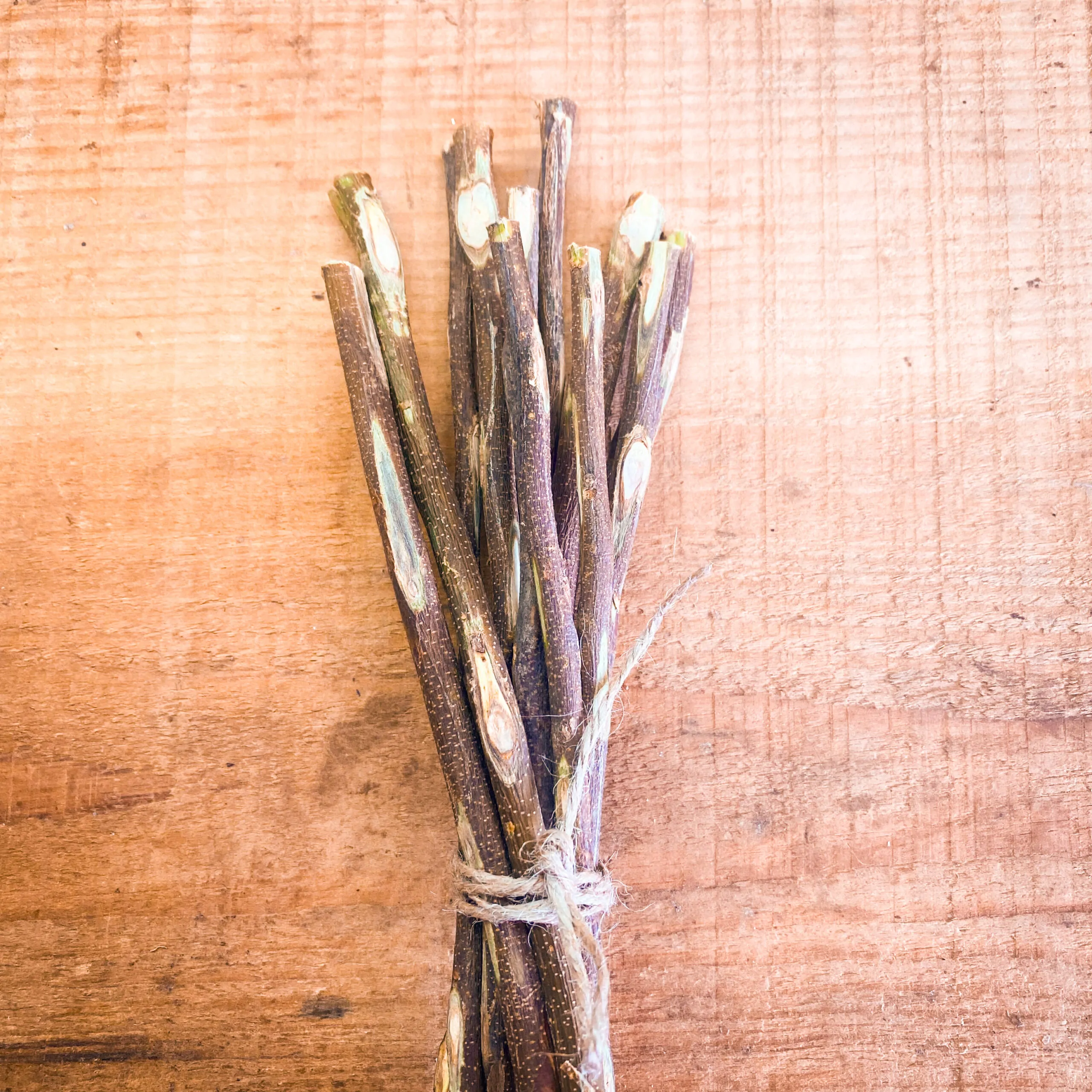 Paus de Neem